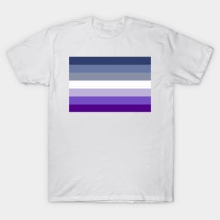 Butch Lesbian Flag T-Shirt